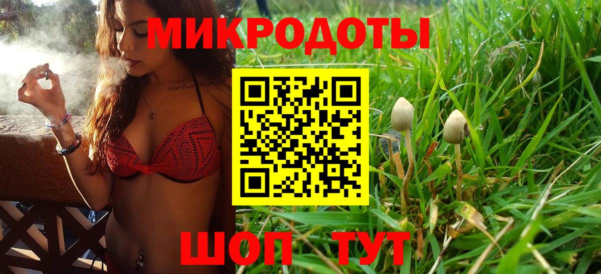 Рыбинск  Галлюциногенные грибы Cubensis  Вход с VPN 