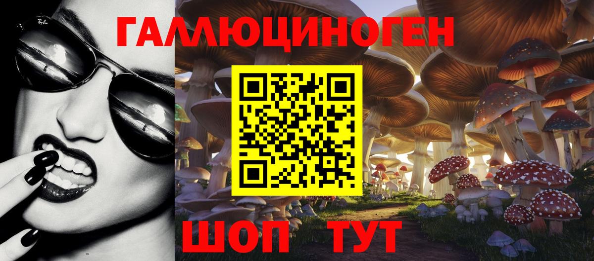 Псилоцибиновые грибы мицелий Рыбинск